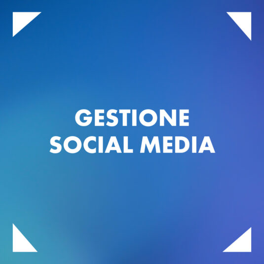 Gestione Social Media + Boosting