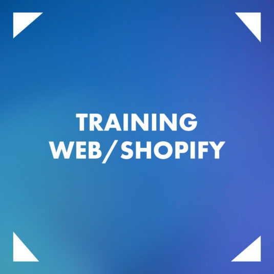 Training Web/Shopify 1 ora