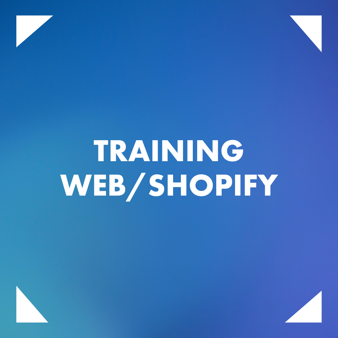 Training Web/Shopify 1 ora