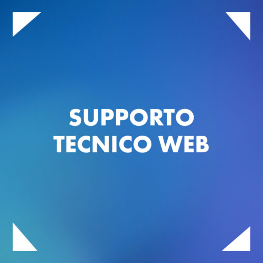 Supporto Tecnico Web 1 ora