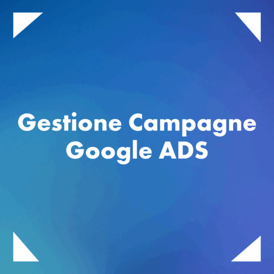 Gestione Campagne Google Ads