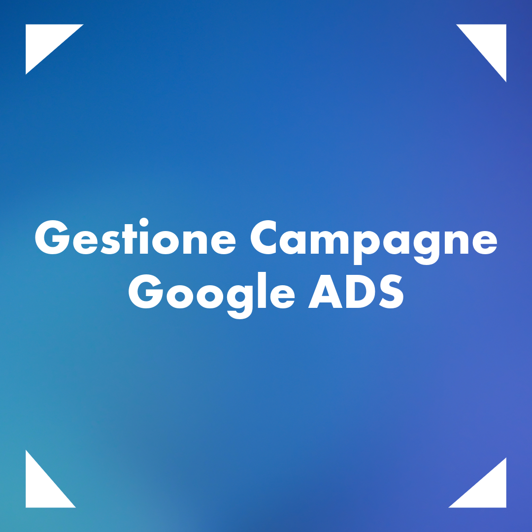 Gestione Campagne Google Ads